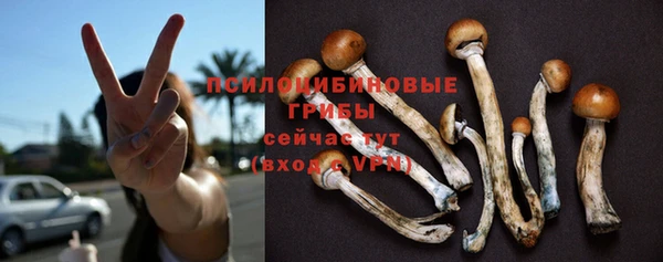 дмт Няндома