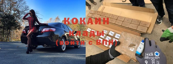 дмт Няндома