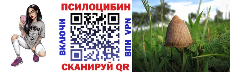 цены наркотик  Харовск  Галлюциногенные грибы Psilocybine cubensis 